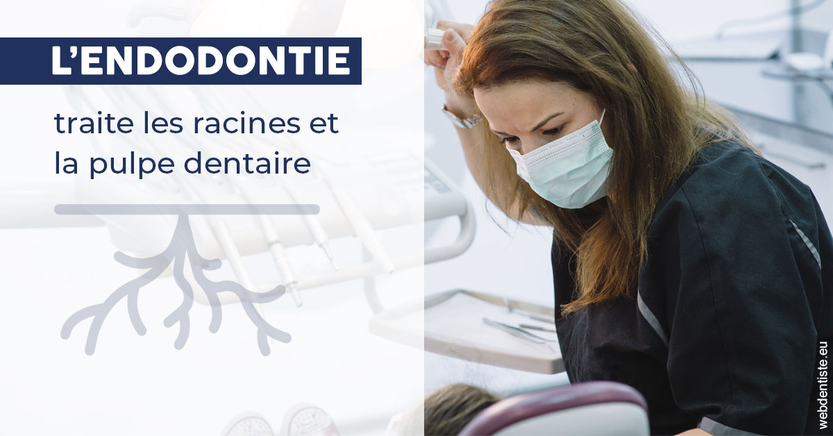 https://dr-juzan-cecile.chirurgiens-dentistes.fr/L'endodontie 1