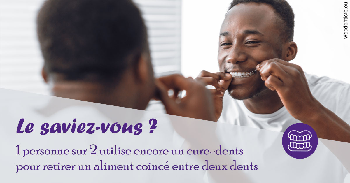 https://dr-juzan-cecile.chirurgiens-dentistes.fr/Cure-dents 2